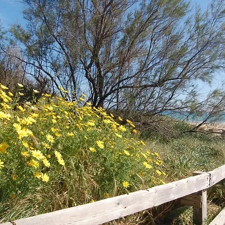 公寓 Casa Al Mare Le Campanelle *